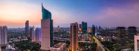 APN FORUM – 2017, NOVEMBER ( Jakarta, Indonesia )